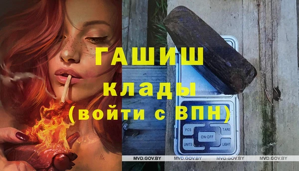 сатива Верея