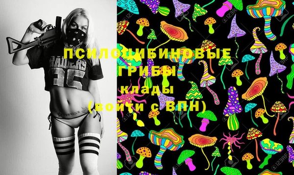 сатива Верея