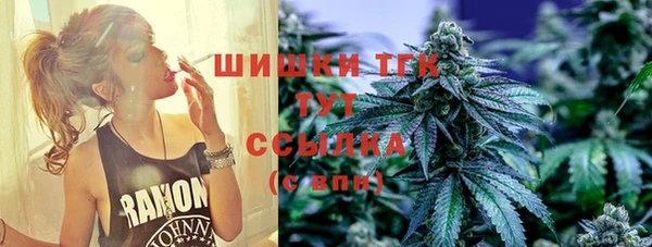 сатива Верея